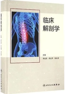 临床解剖学