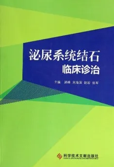 泌尿系统结石临床诊治