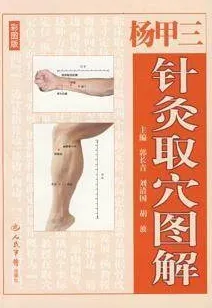 杨甲三针灸取穴图解 彩图版