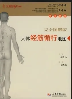 人体经筋循行地图 完全图解版