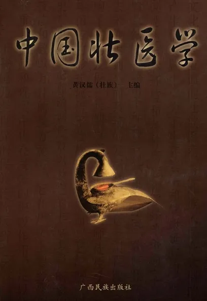 中国壮医学