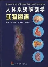 人体系统解剖学实物图谱