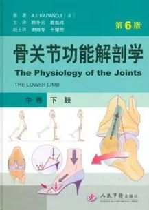 骨关节功能解剖学 中卷：下肢