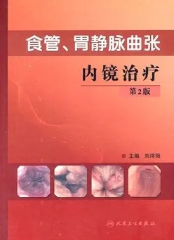 食管、胃静脉曲张内镜治疗 第2版