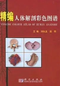 精编人体解剖彩色图谱