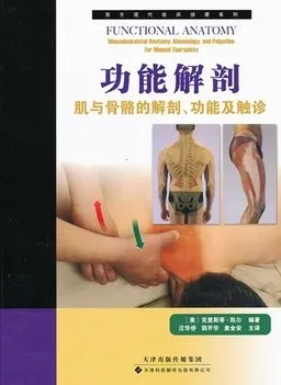 功能解剖 肌与骨骼的解剖、功能及触诊