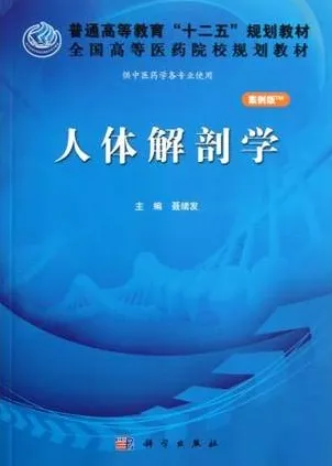 人体解剖学 案例版
