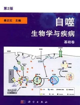自噬 生物学与疾病基础卷