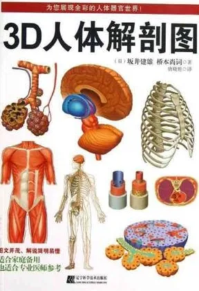 3D人体解剖图