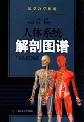 人体系统解剖图谱