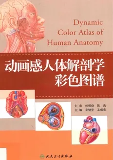 动画感人体解剖学彩色图谱