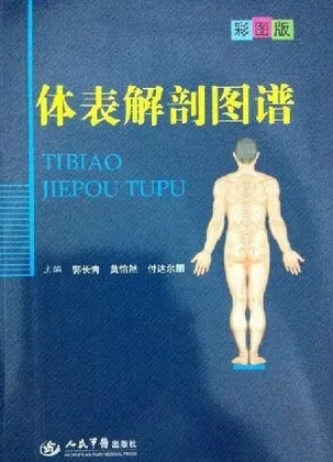 体表解剖图谱（彩图版）