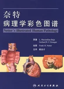 奈特病理学彩色图谱