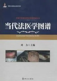 刑事犯罪痕迹物证检验图谱大全 当代法医学图谱