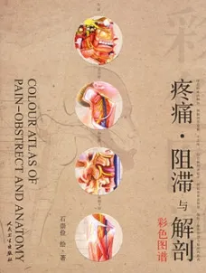 疼痛·阻滞与解剖彩色图谱