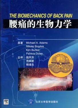 腰痛的生物力学