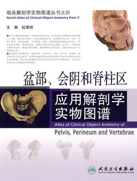 盆部、会阴和脊柱区应用解剖学实物图谱
