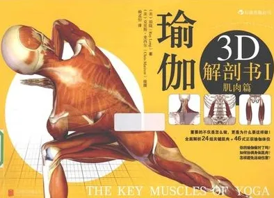 瑜伽3D解剖书 1 肌肉篇